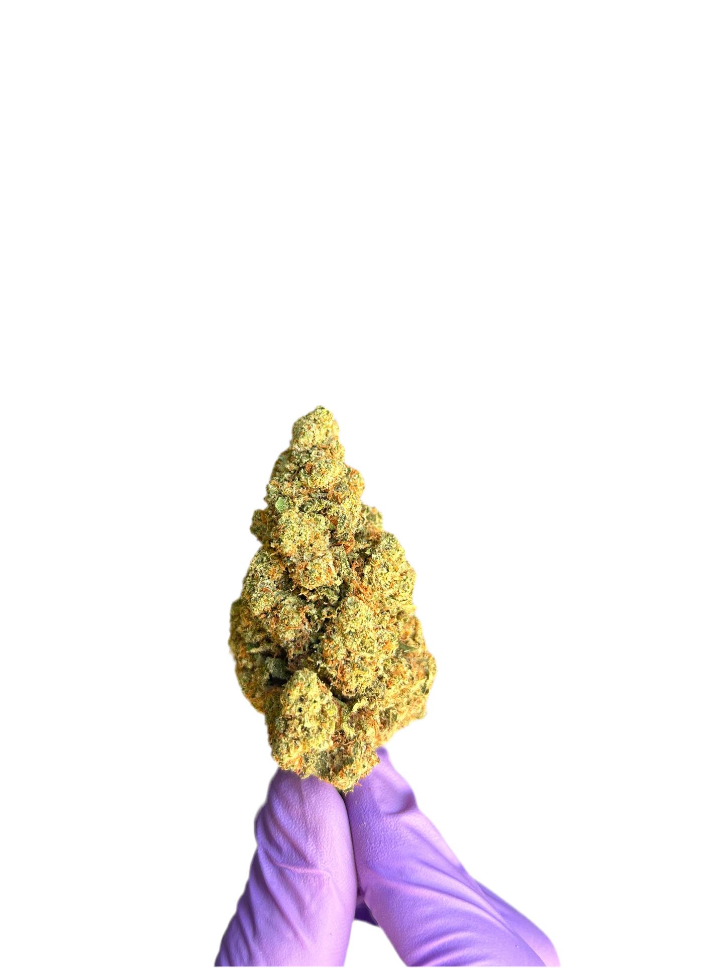 Amnesia Haze Hidropónica CBD
